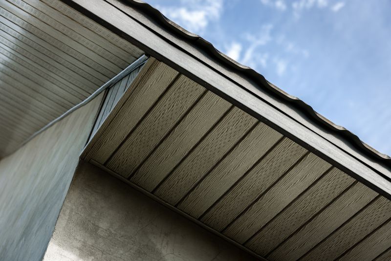 Soffit Painting in Spring